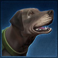 Rockhound665