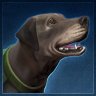 Rockhound665
